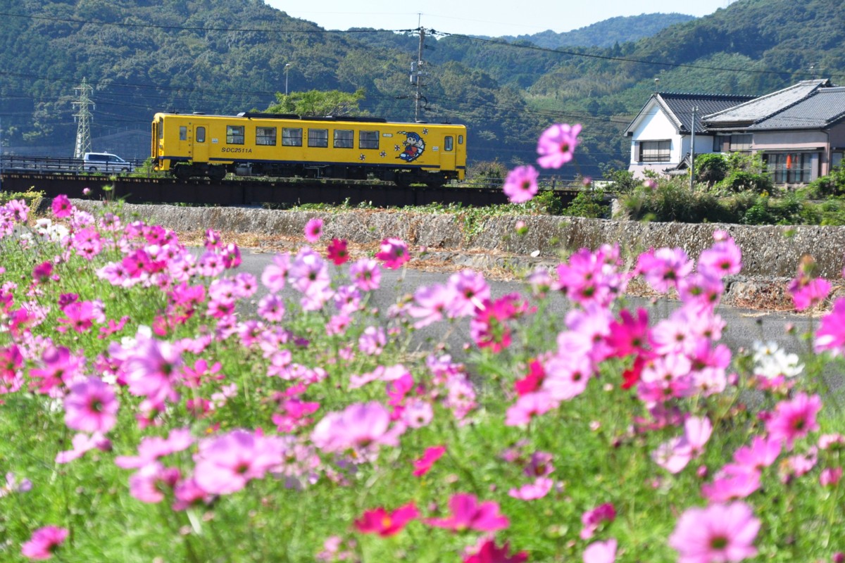 撮影・島原鉄道・諫早東高校前－愛野