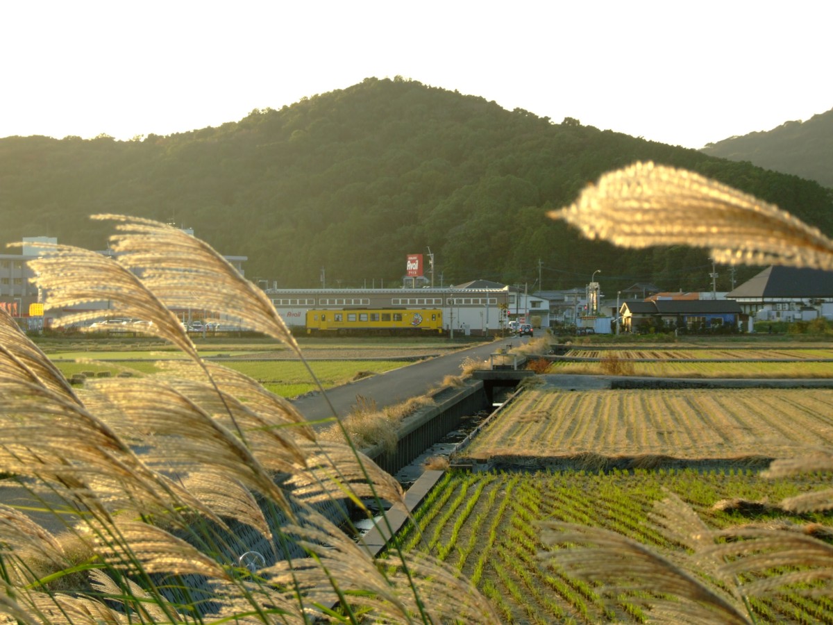 撮影・島原鉄道・諫早東高校前－愛野