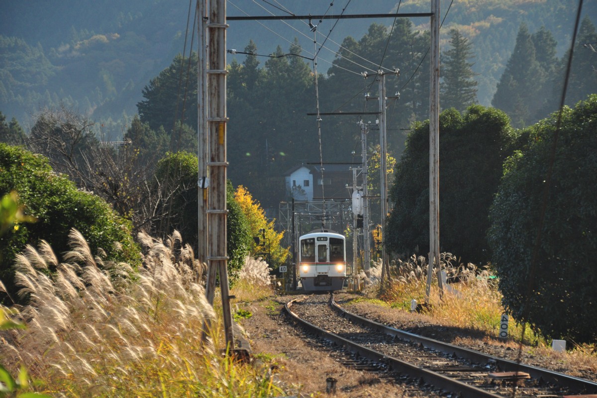 秩父鉄道・武州日野・紅葉