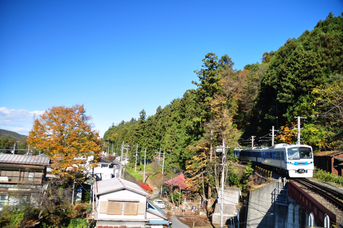 秩父鉄道・浦山口・紅葉