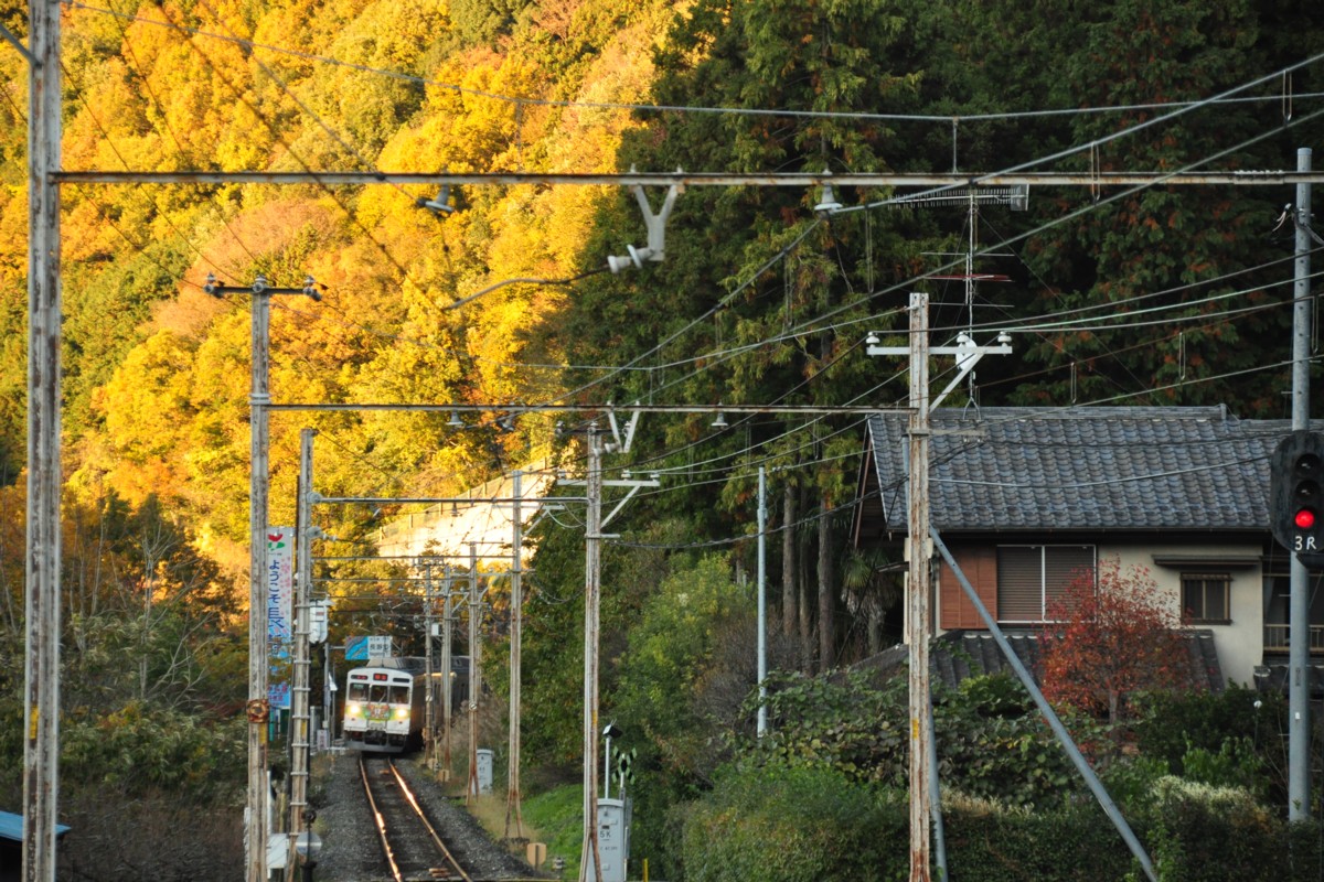 秩父鉄道・波久礼・紅葉