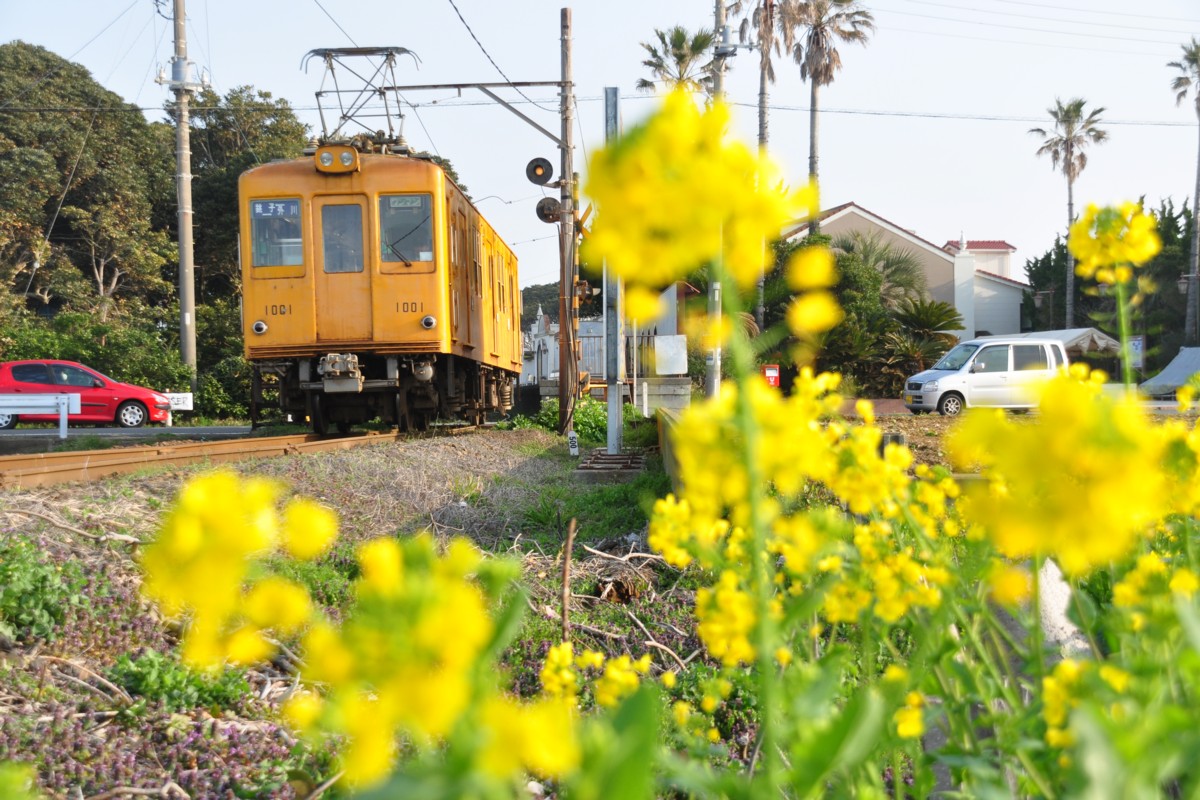 撮影・銚子電鉄・犬吠