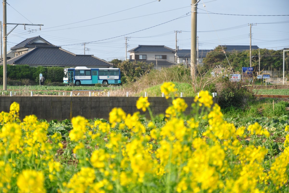 撮影・銚子電鉄・犬吠