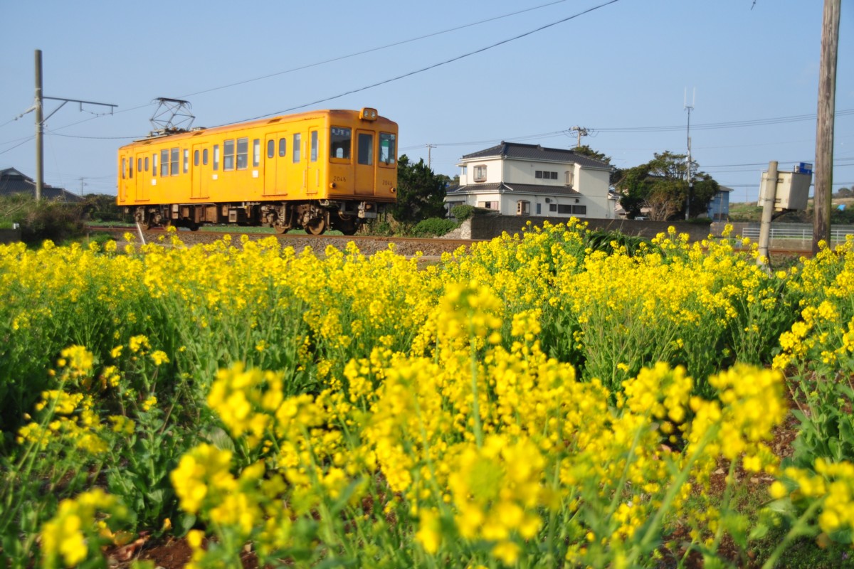 撮影・銚子電鉄・犬吠
