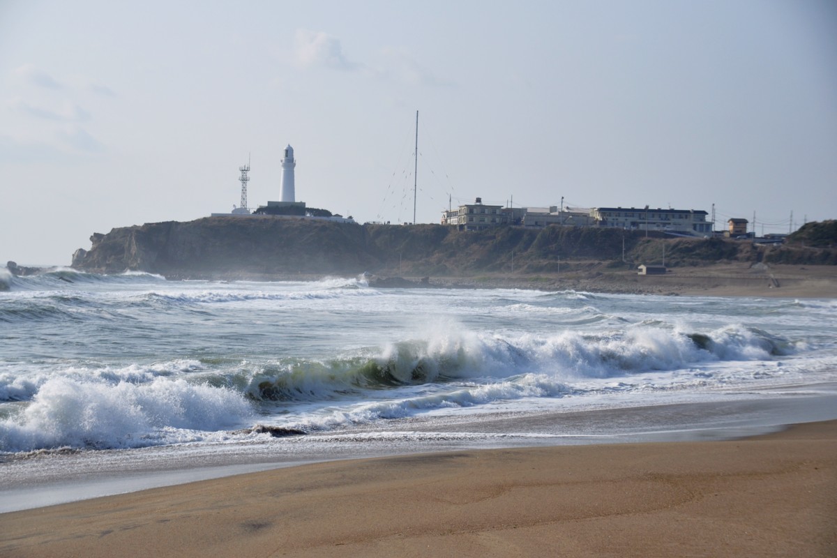 撮影・君ヶ浜しおさい公園