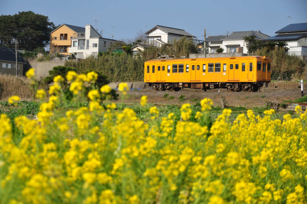 撮影・銚子電鉄・海鹿島－君ヶ浜