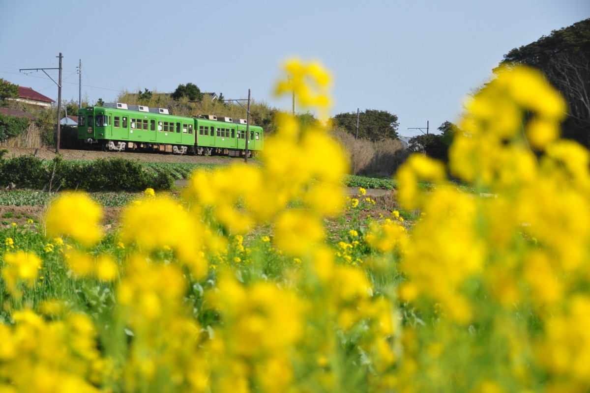 撮影・銚子電鉄・海鹿島－君ヶ浜