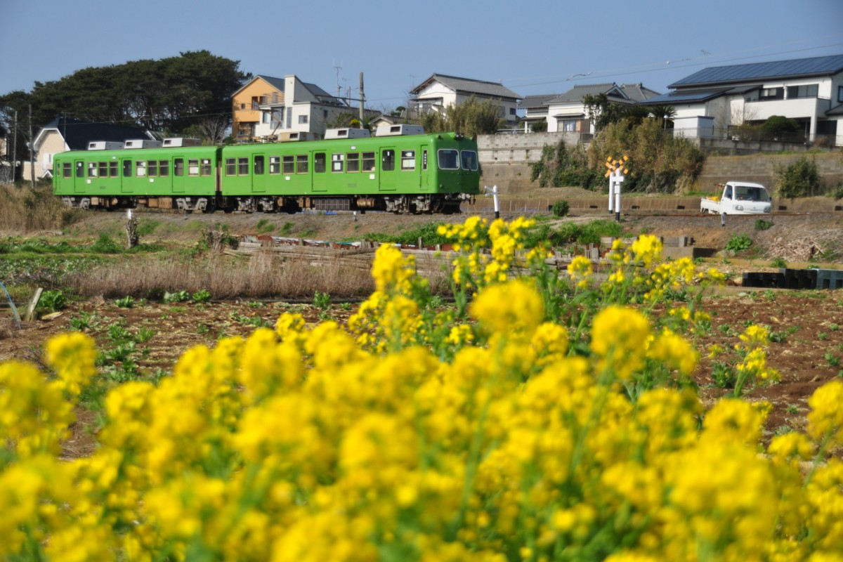 撮影・銚子電鉄・海鹿島－君ヶ浜
