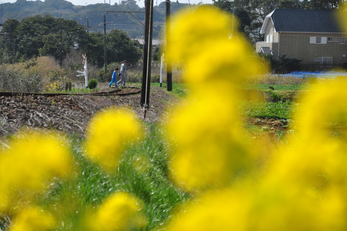 撮影・銚子電鉄・海鹿島－君ヶ浜