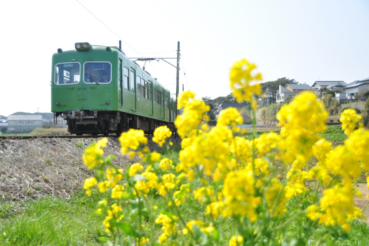 撮影・銚子電鉄・海鹿島－君ヶ浜