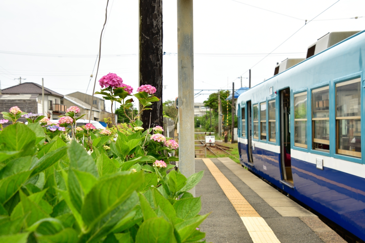 撮影・鉄道写真・夏・梅雨・銚子電鉄・銚子電気鉄道・外川