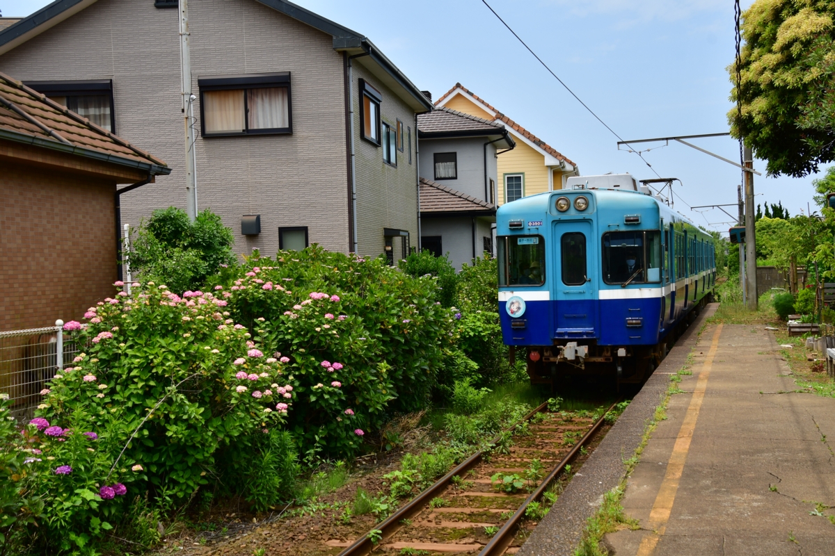 撮影・鉄道写真・夏・梅雨・銚子電鉄・銚子電気鉄道・海鹿島