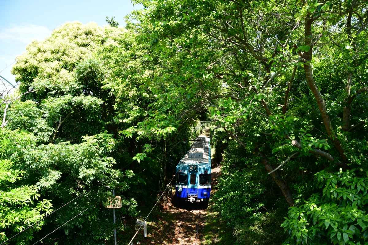 撮影・鉄道写真・夏・梅雨・銚子電鉄・銚子電気鉄道・本銚子