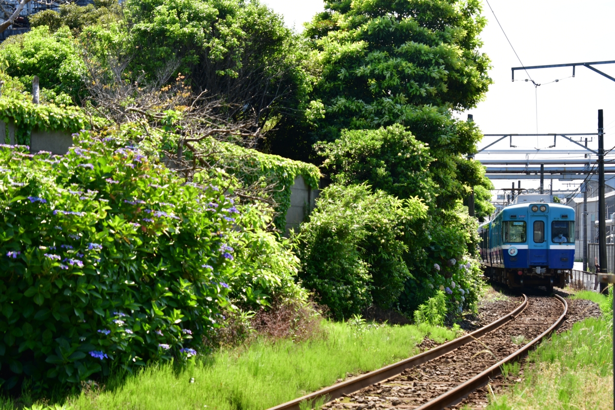 撮影・鉄道写真・夏・梅雨・銚子電鉄・銚子電気鉄道・仲ノ町