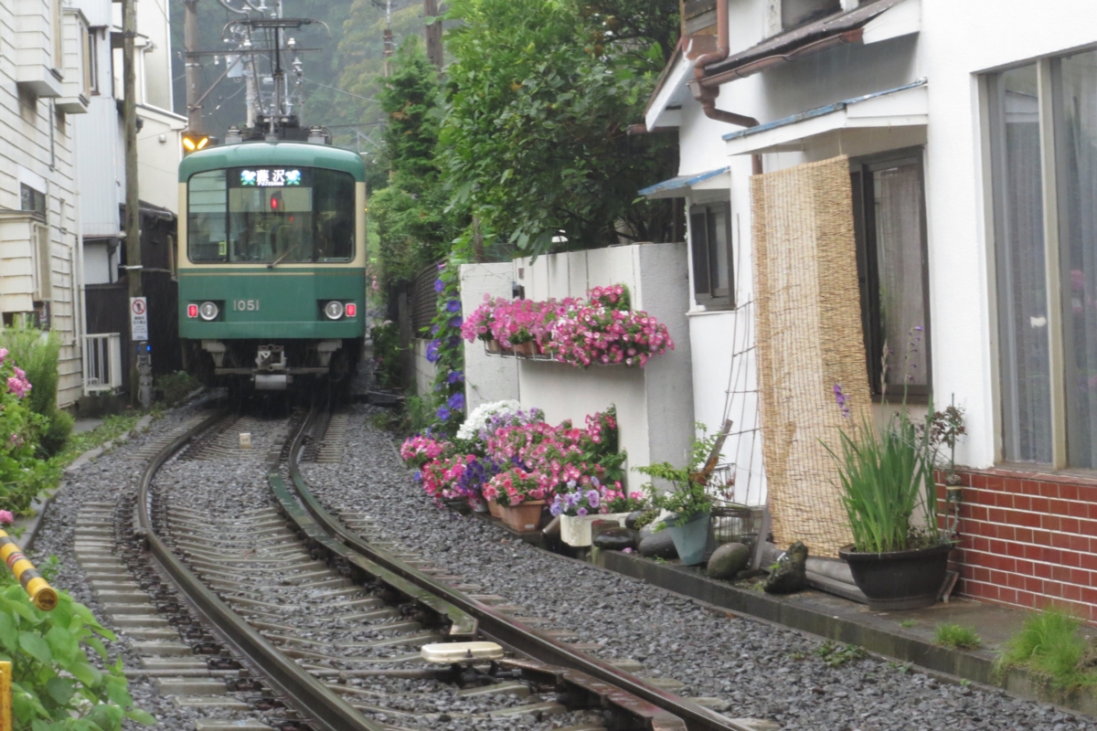 撮影・江ノ島電鉄・紫陽花・長谷