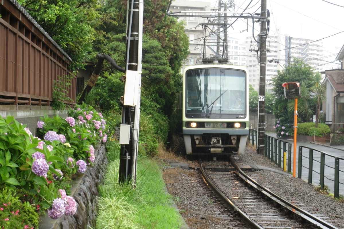 撮影・江ノ島電鉄・紫陽花・湘南海岸公園
