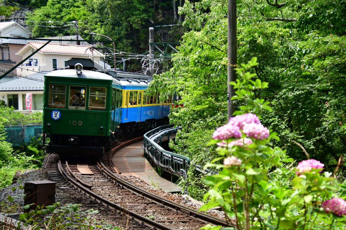 撮影・鉄道写真・紫陽花・箱根登山鉄道・彫刻の森－強羅