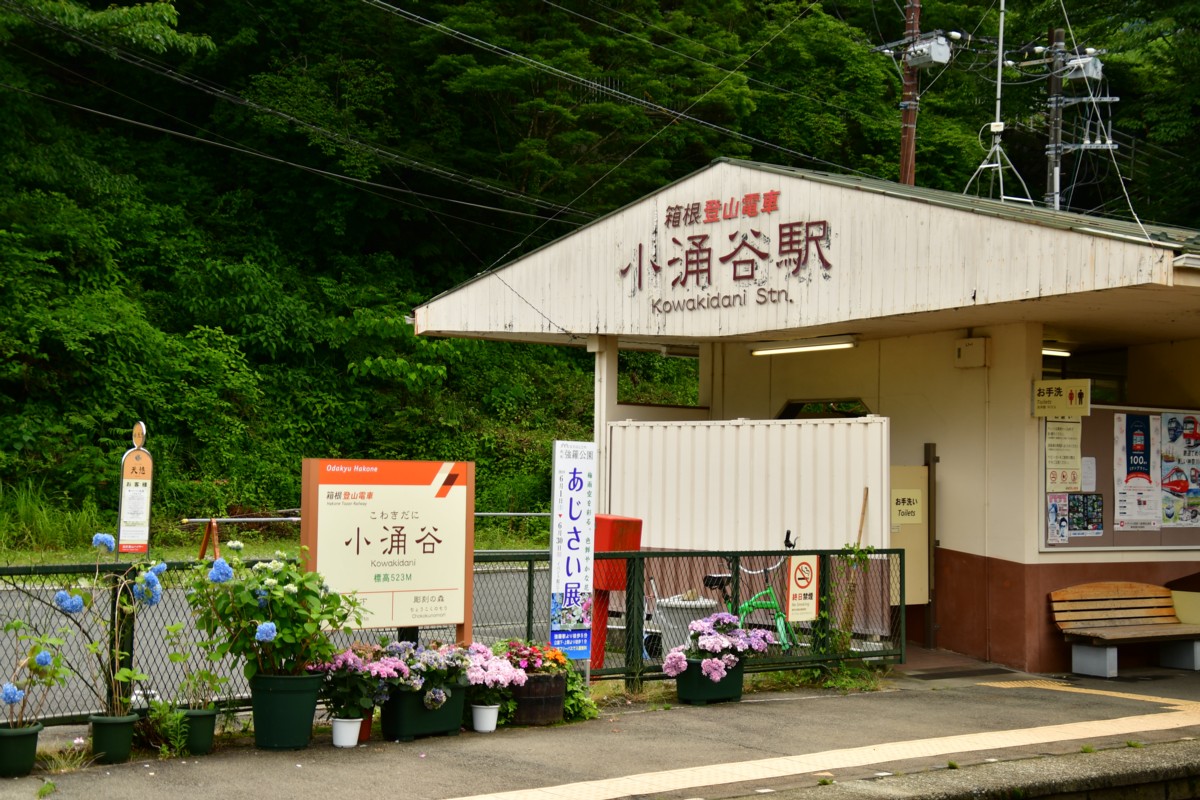 撮影・鉄道写真・紫陽花・箱根登山鉄道・小涌谷