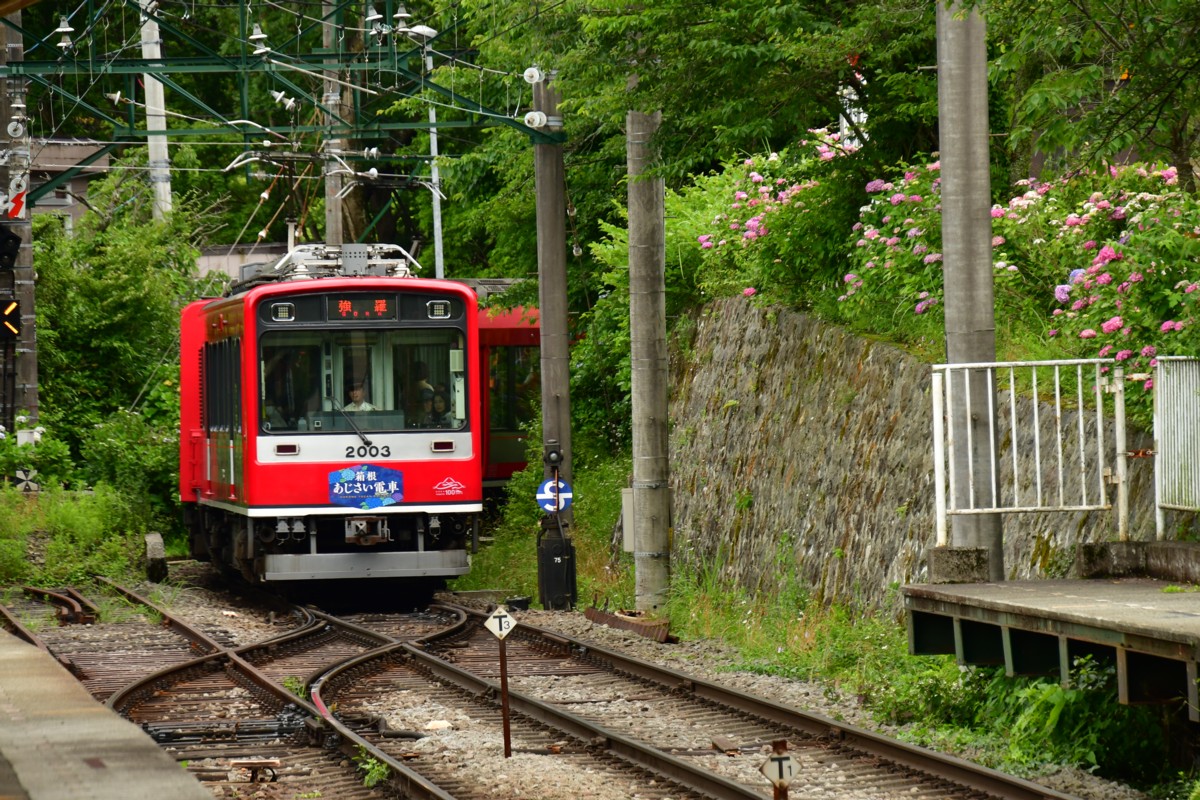 撮影・鉄道写真・紫陽花・箱根登山鉄道・小涌谷