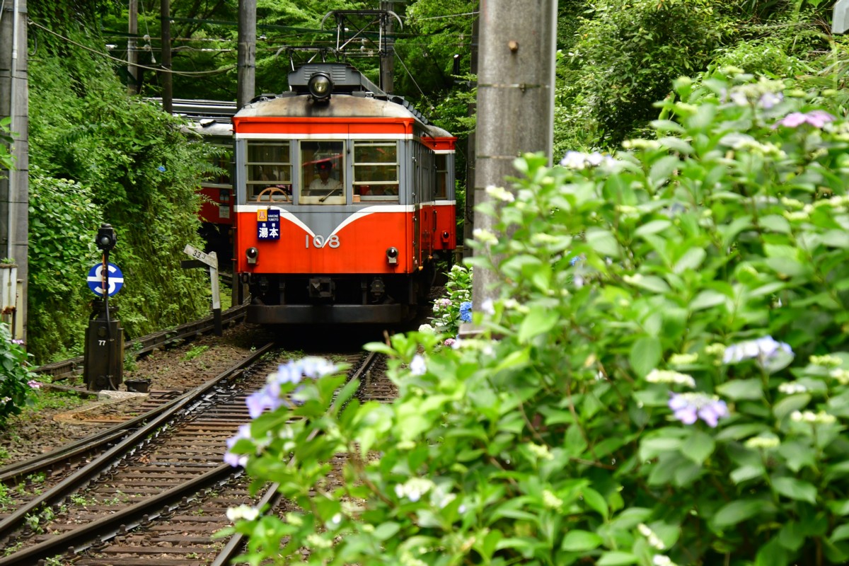 撮影・鉄道写真・紫陽花・箱根登山鉄道・小涌谷
