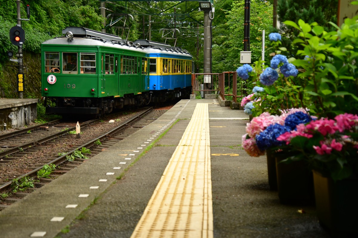 撮影・鉄道写真・紫陽花・箱根登山鉄道・宮ノ下