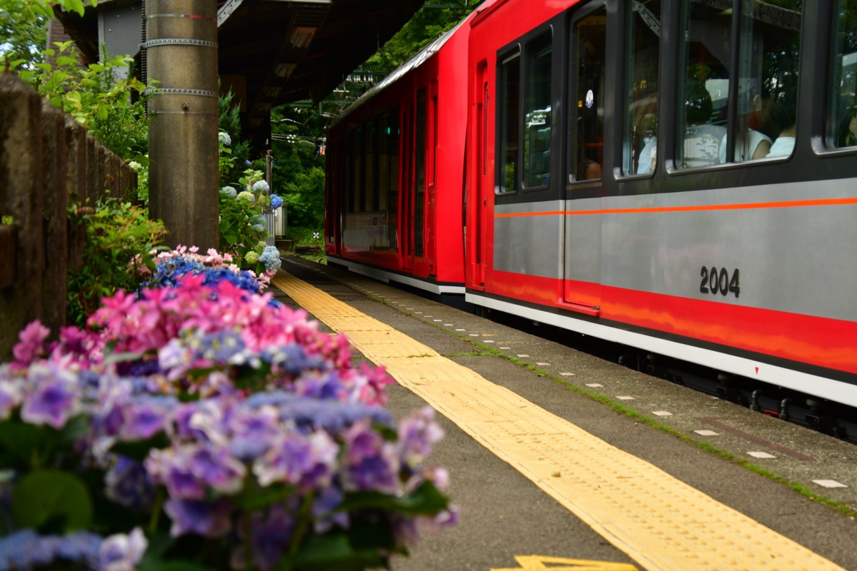 撮影・鉄道写真・紫陽花・箱根登山鉄道・宮ノ下