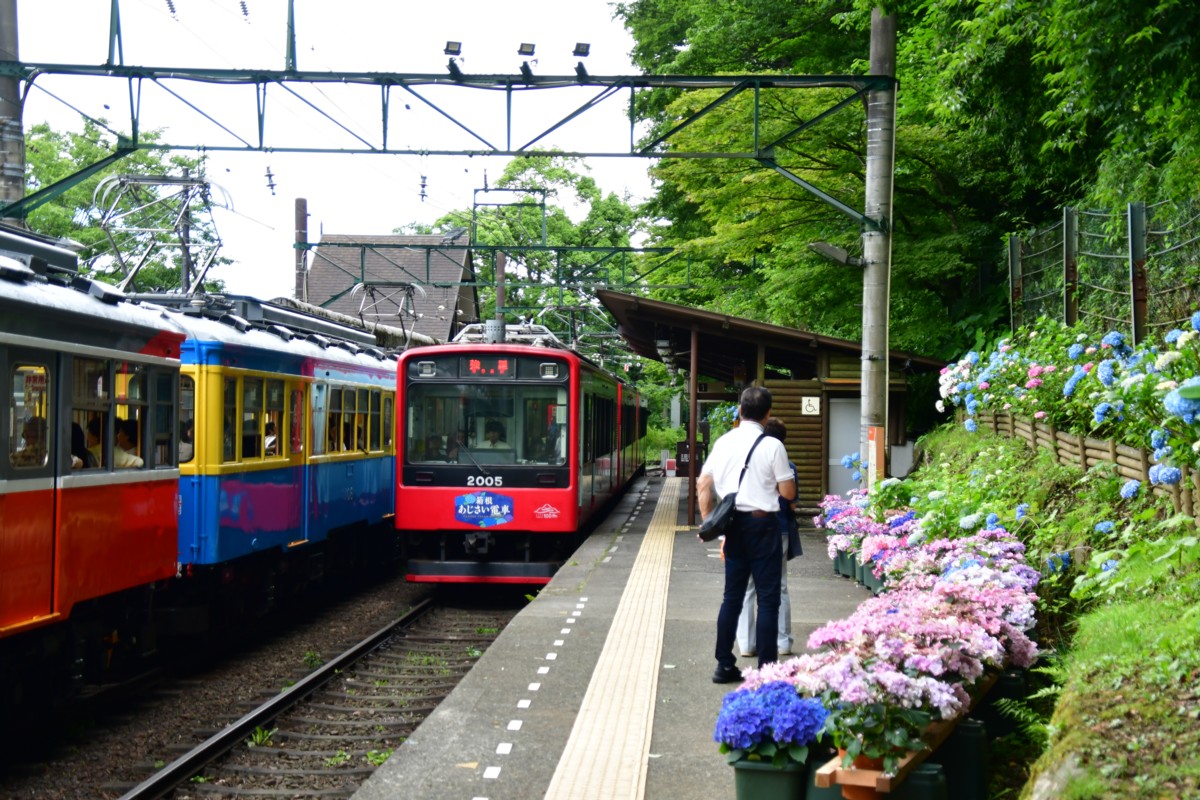 撮影・鉄道写真・紫陽花・箱根登山鉄道・宮ノ下