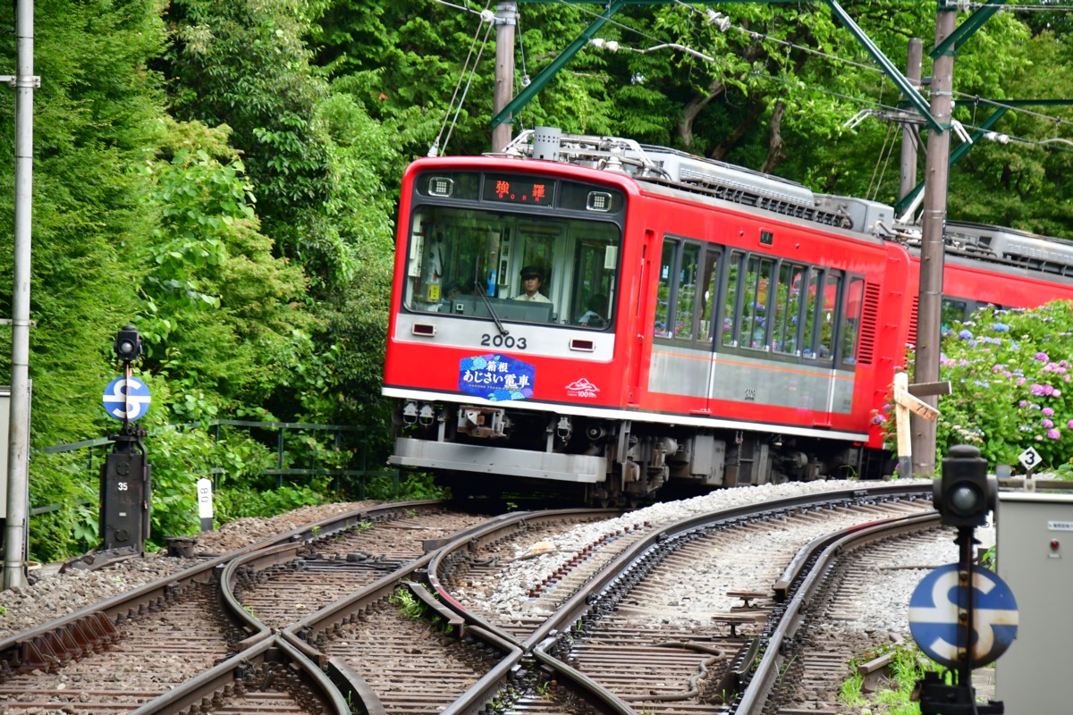 撮影・鉄道写真・紫陽花・箱根登山鉄道・大平台