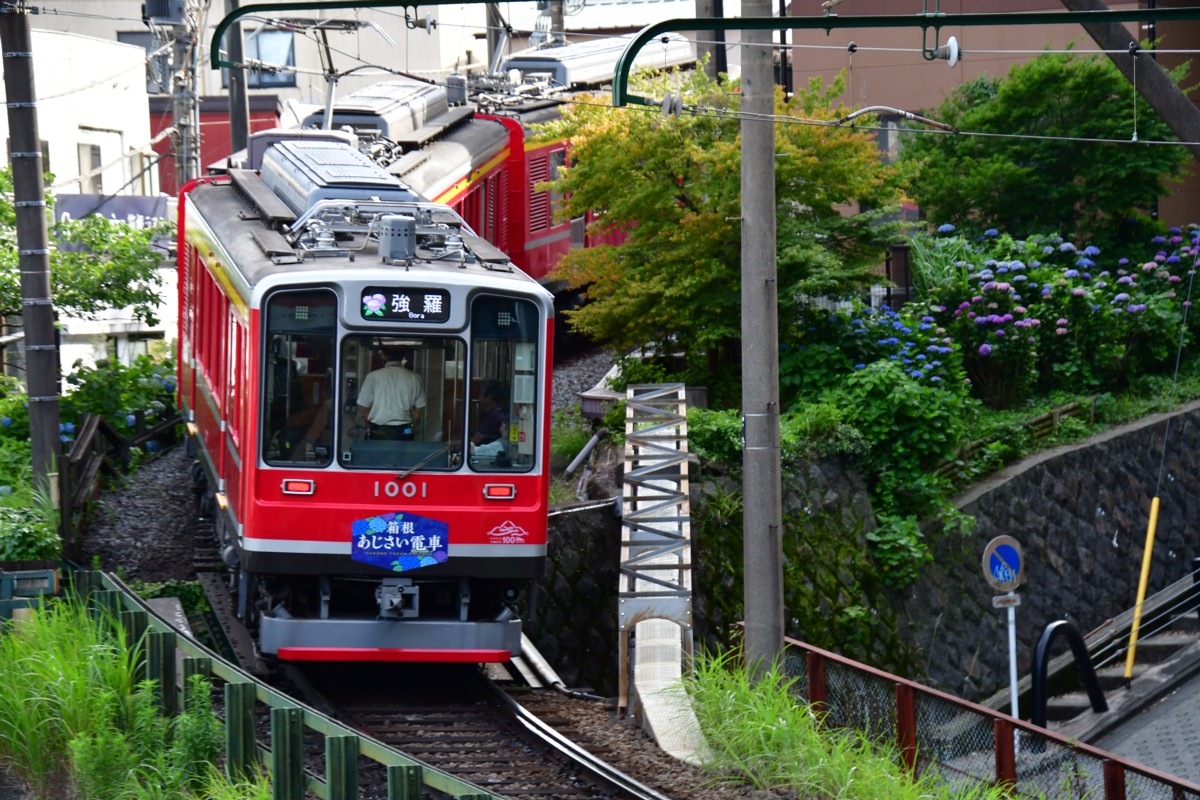 撮影・鉄道写真・紫陽花・箱根登山鉄道・箱根湯本