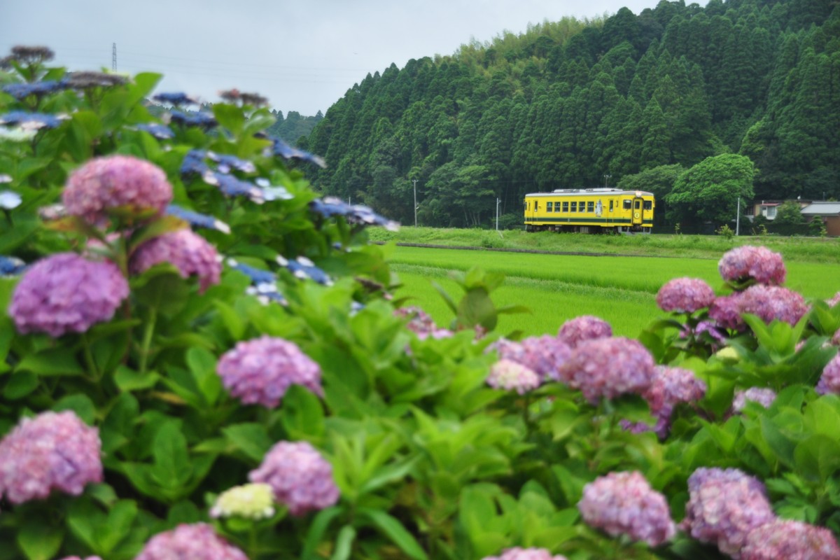 撮影・いすみ鉄道・西大原－上総東