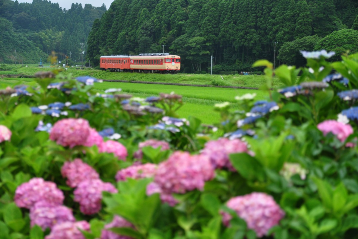 撮影・いすみ鉄道・西大原－上総東