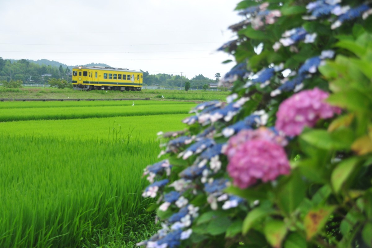 撮影・いすみ鉄道・西大原－上総東