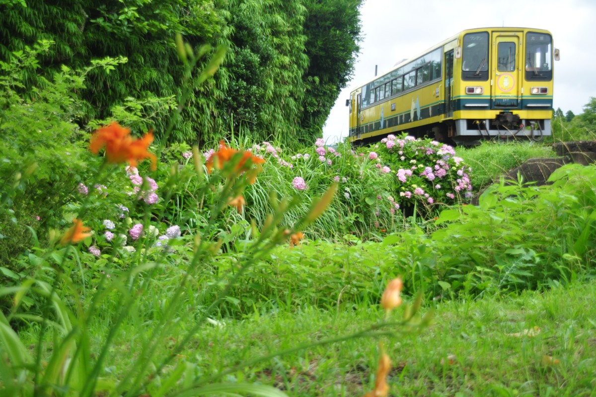 撮影・いすみ鉄道・西大原－上総東