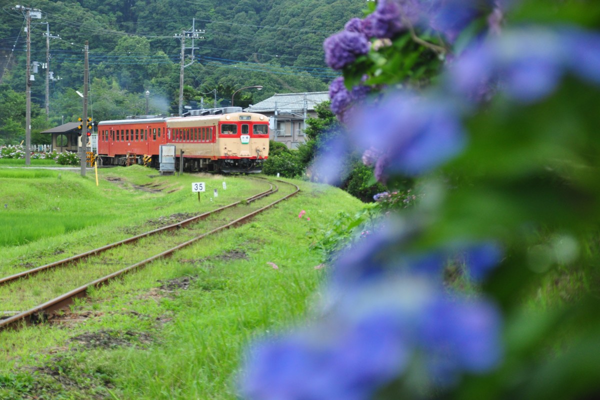 撮影・いすみ鉄道・西畑