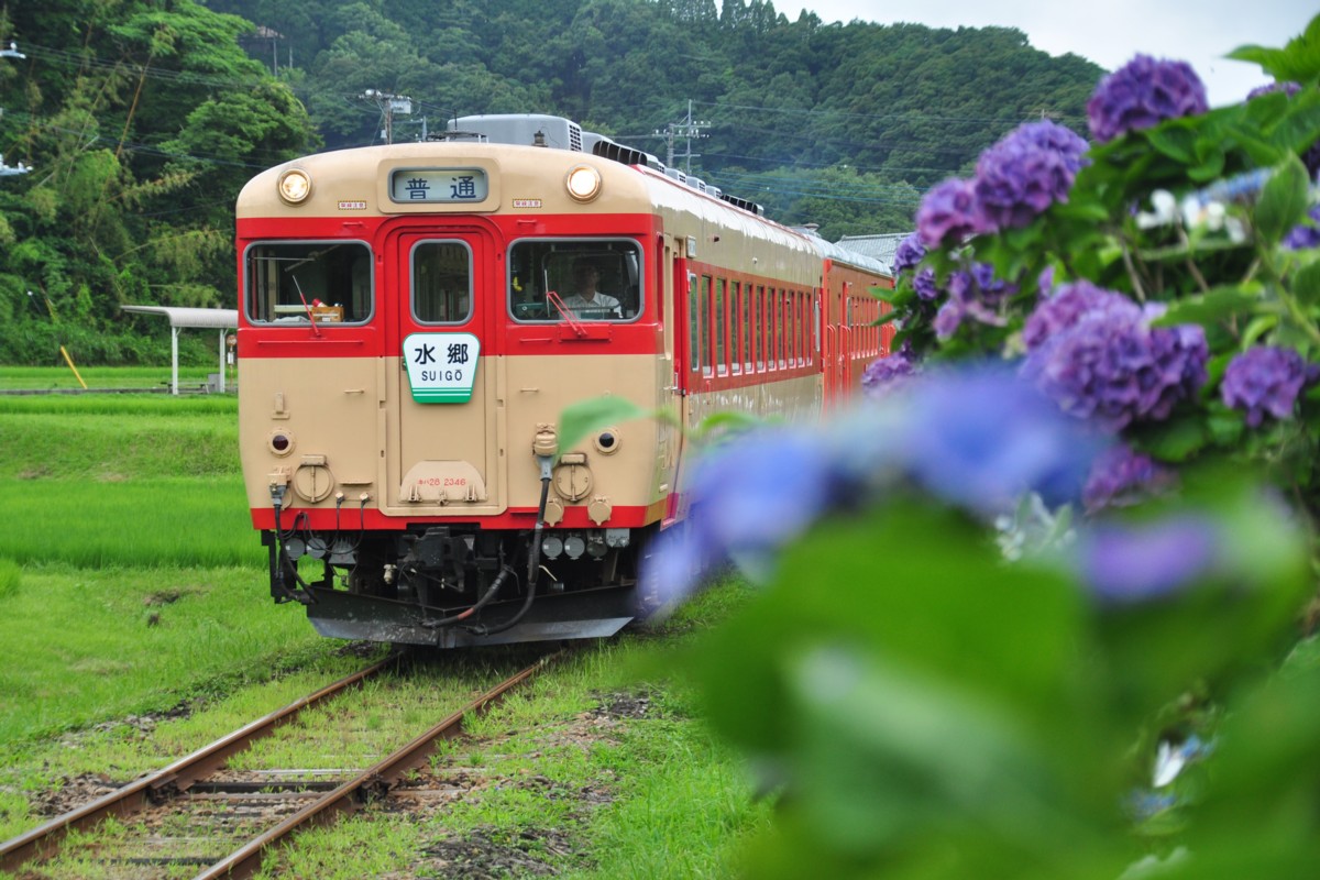 撮影・いすみ鉄道・西畑