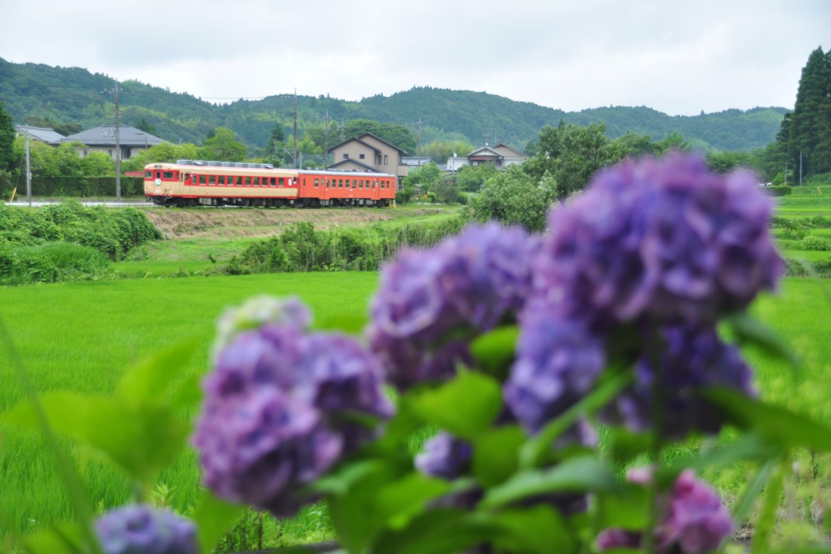 撮影・いすみ鉄道・小谷松－大多喜