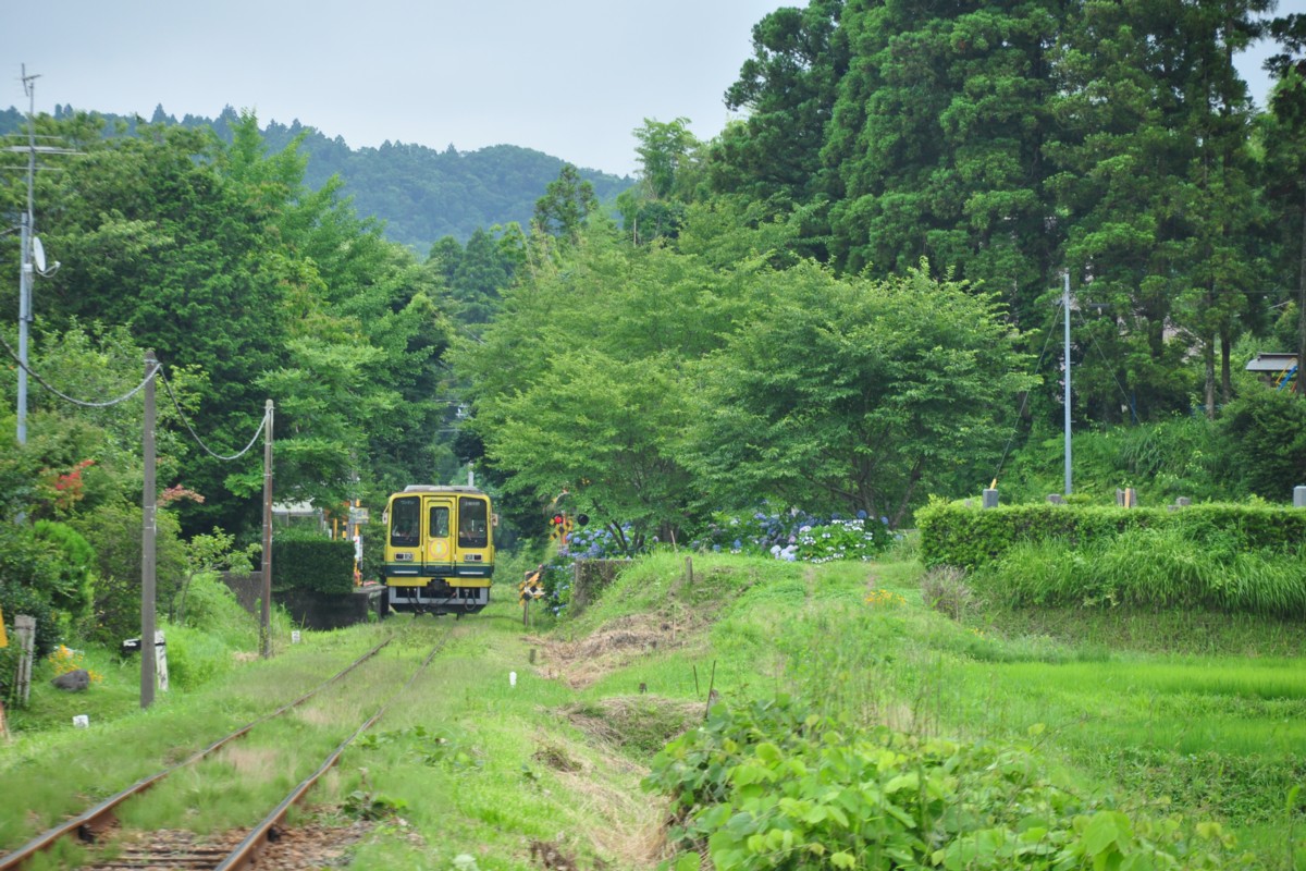 撮影・いすみ鉄道・小谷松
