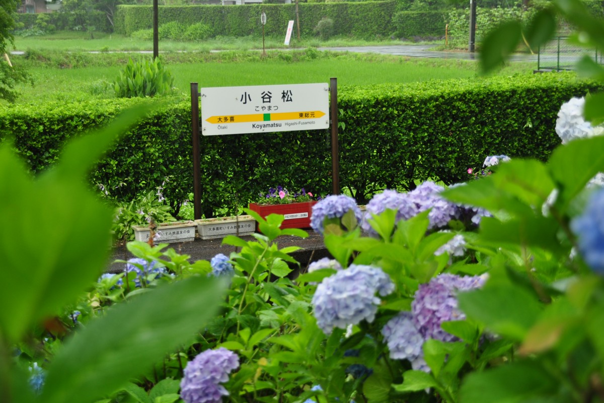 撮影・いすみ鉄道・小谷松