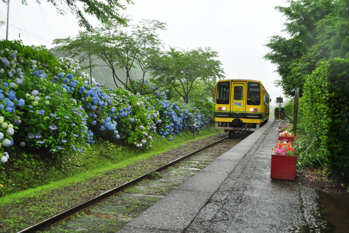 撮影・いすみ鉄道・小谷松