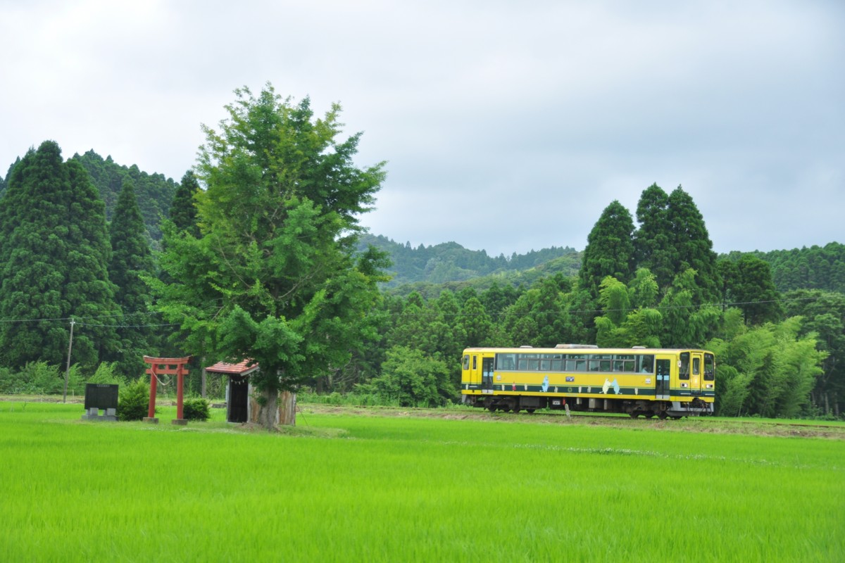 撮影・いすみ鉄道・小谷松－大多喜
