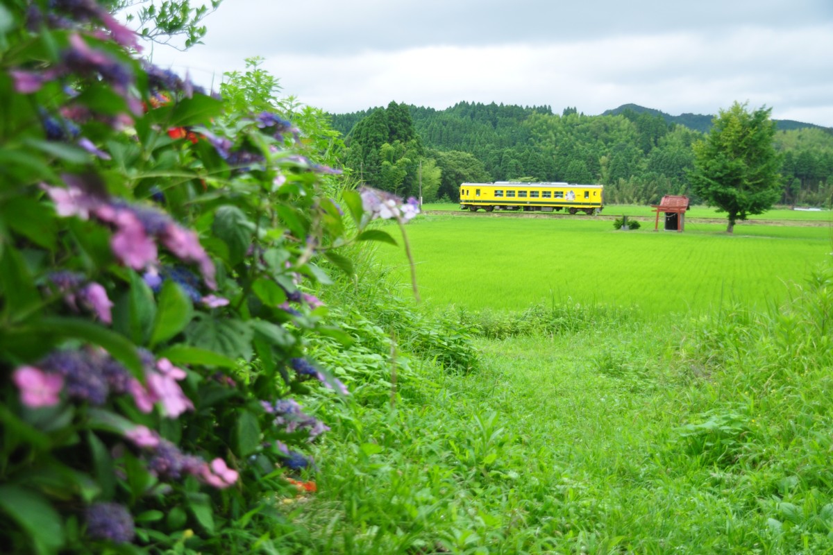 撮影・いすみ鉄道・小谷松－大多喜
