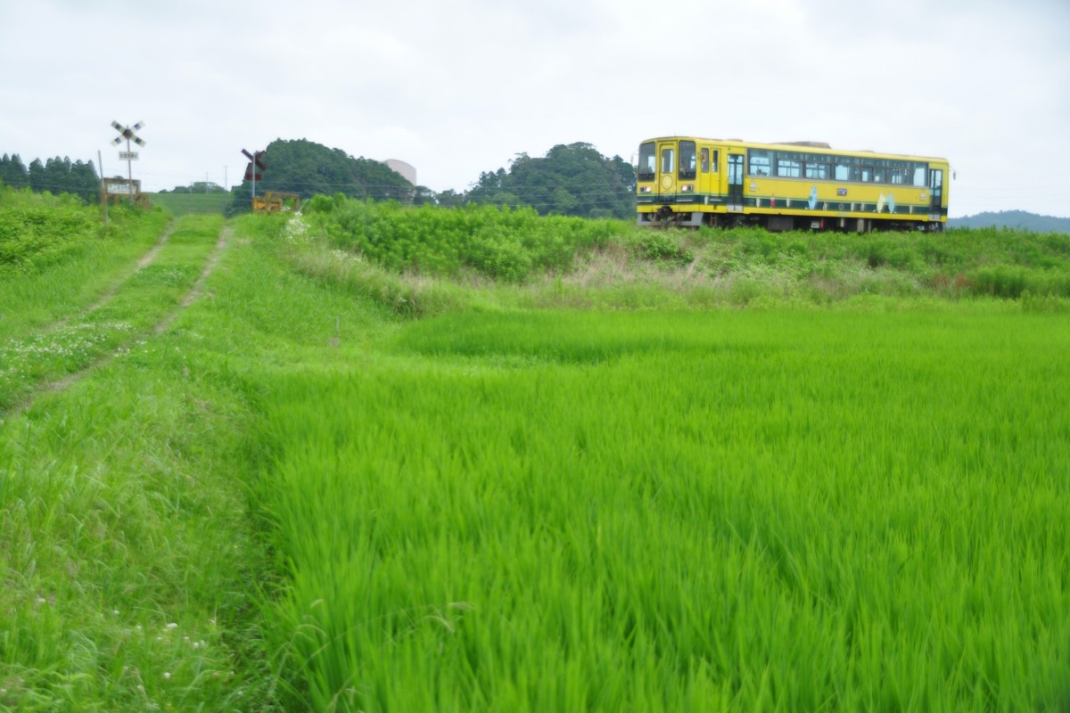 撮影・いすみ鉄道・国吉－上総中川