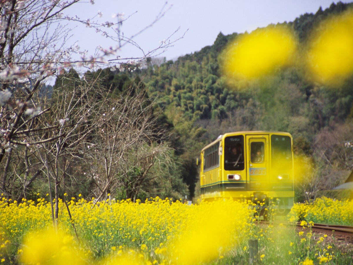 撮影・いすみ鉄道・総元