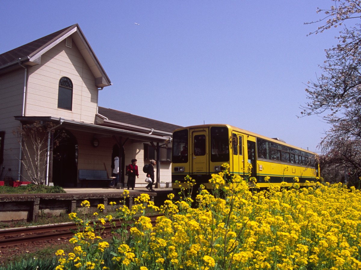 撮影・いすみ鉄道・総元