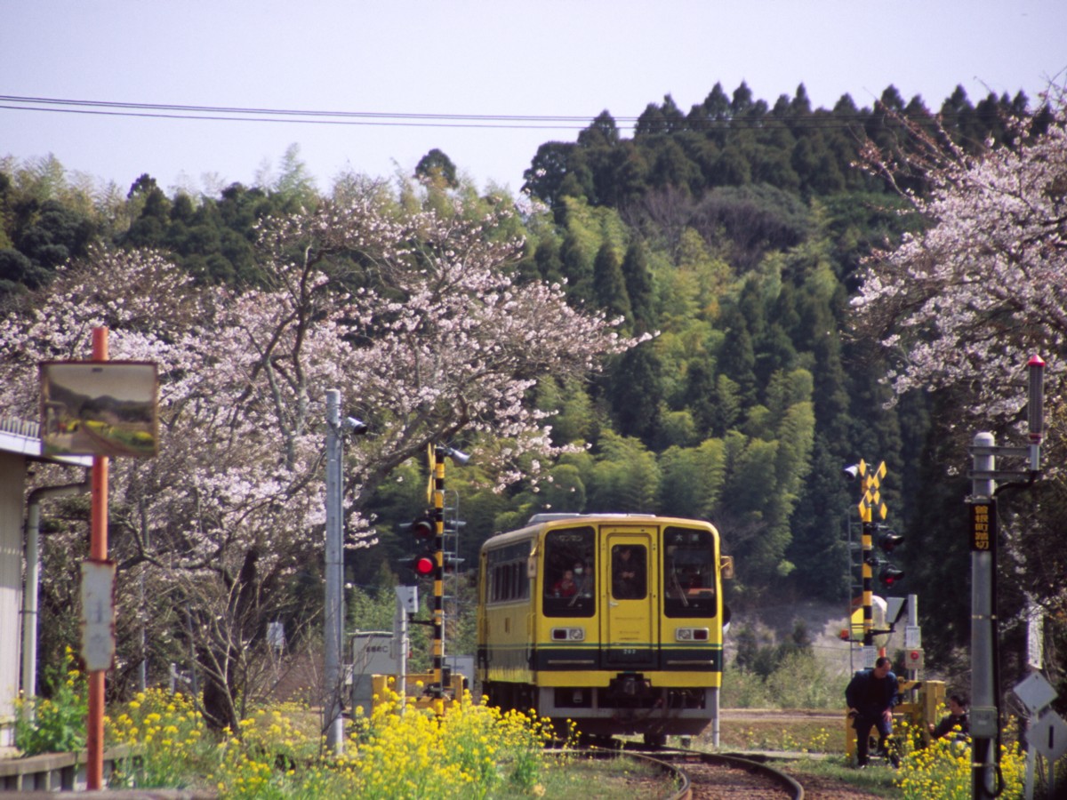撮影・いすみ鉄道・総元
