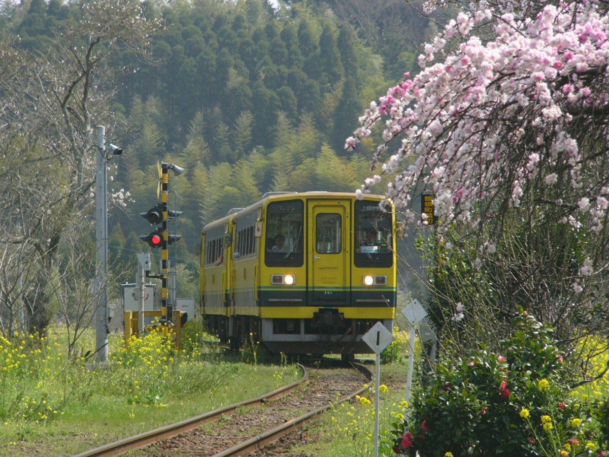 撮影・いすみ鉄道・総元