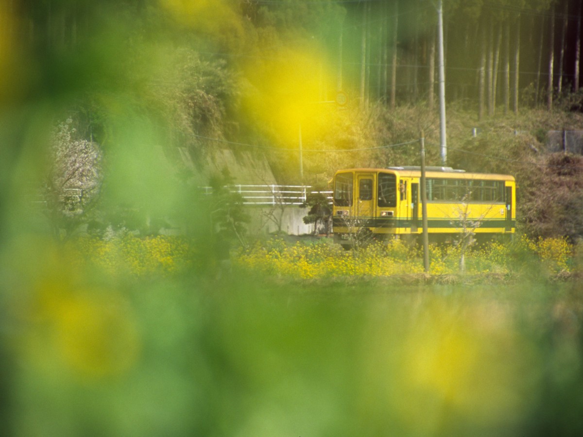撮影・いすみ鉄道・東総元－久我原