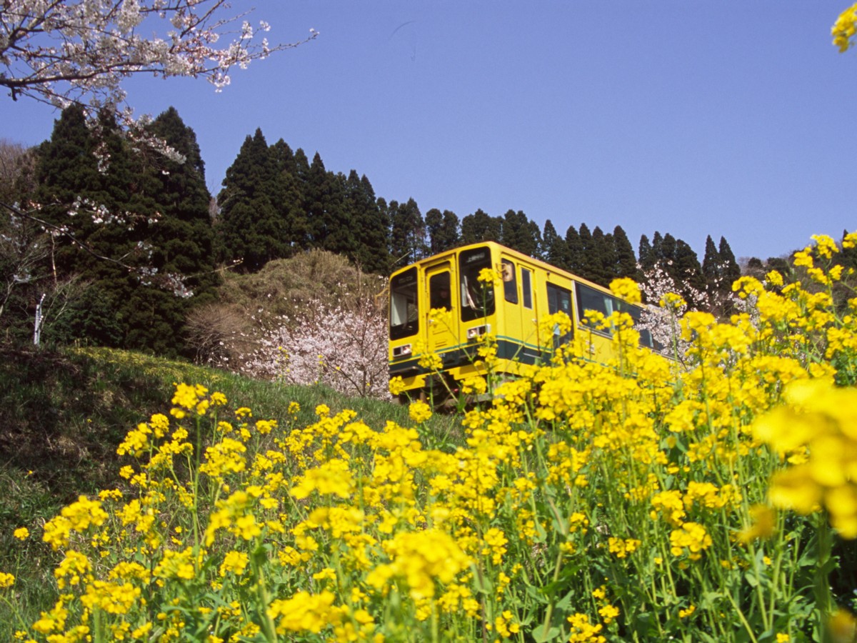 撮影・いすみ鉄道・東総元－久我原