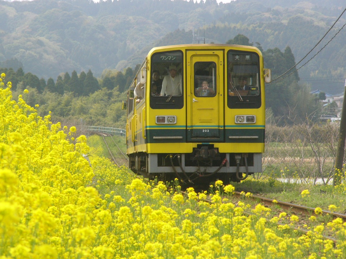 撮影・いすみ鉄道・大多喜－城見ヶ丘