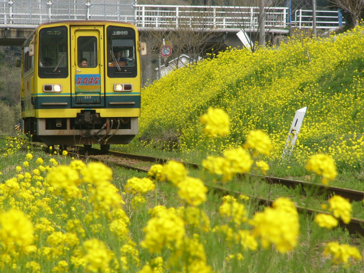 撮影・いすみ鉄道・大多喜－城見ヶ丘